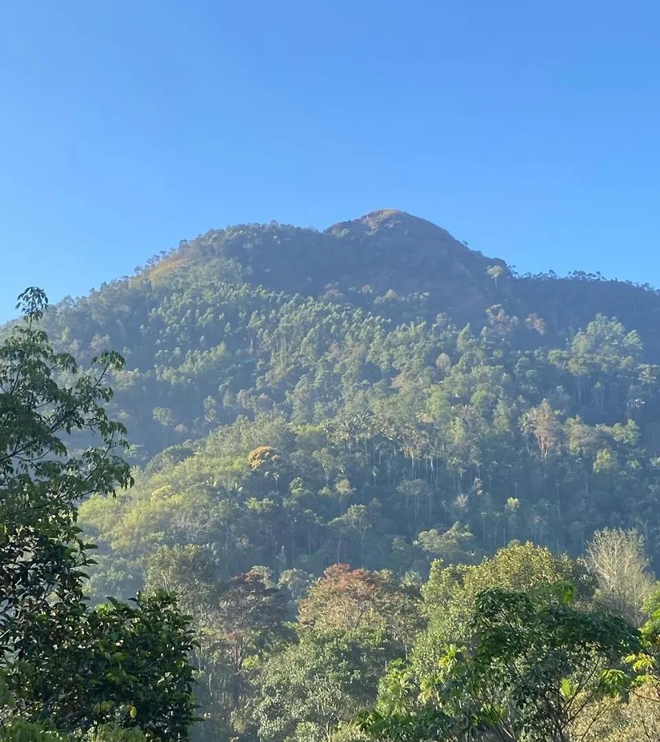 The Lovely Home Stay Munnar Homestay