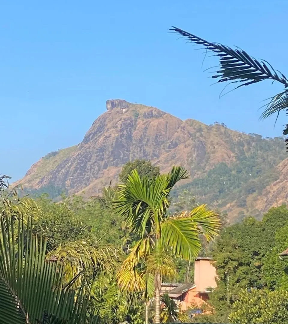 Homestay The Lovely Home Stay Munnar India